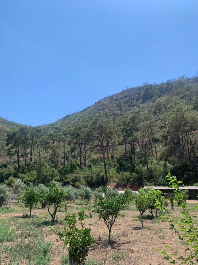 Doga Ciftlik Konaklama Marmaris Exteriér fotografie