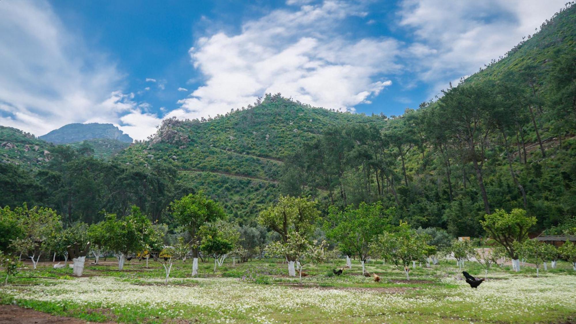 Doga Ciftlik Konaklama Marmaris Exteriér fotografie
